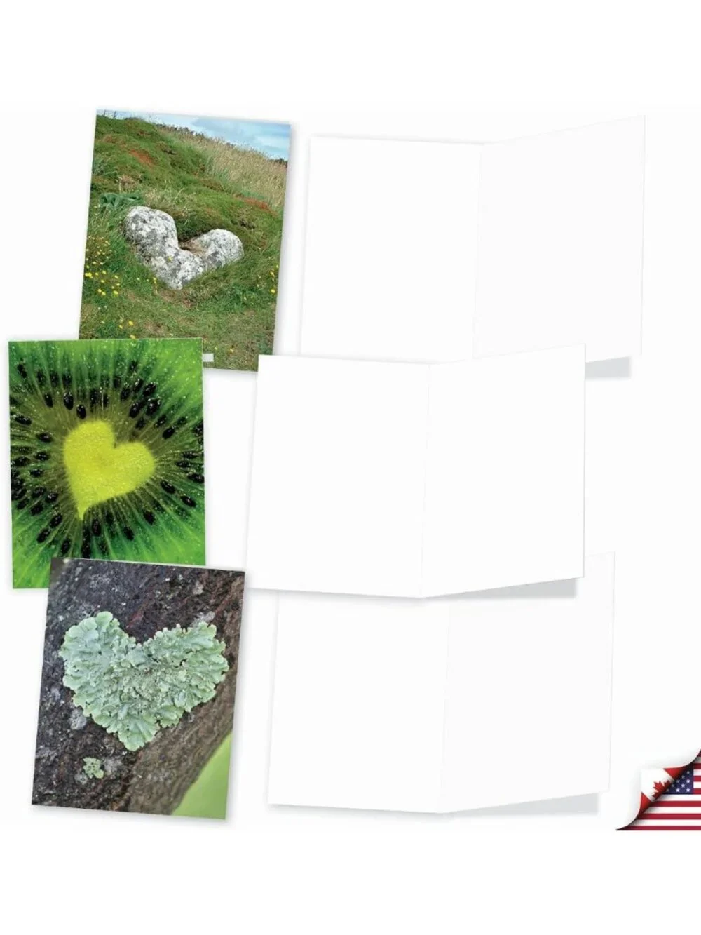 20 Cute Boxed Assorted Blank Cards - 10 Unique Designs, Perfect for Any Occasion
